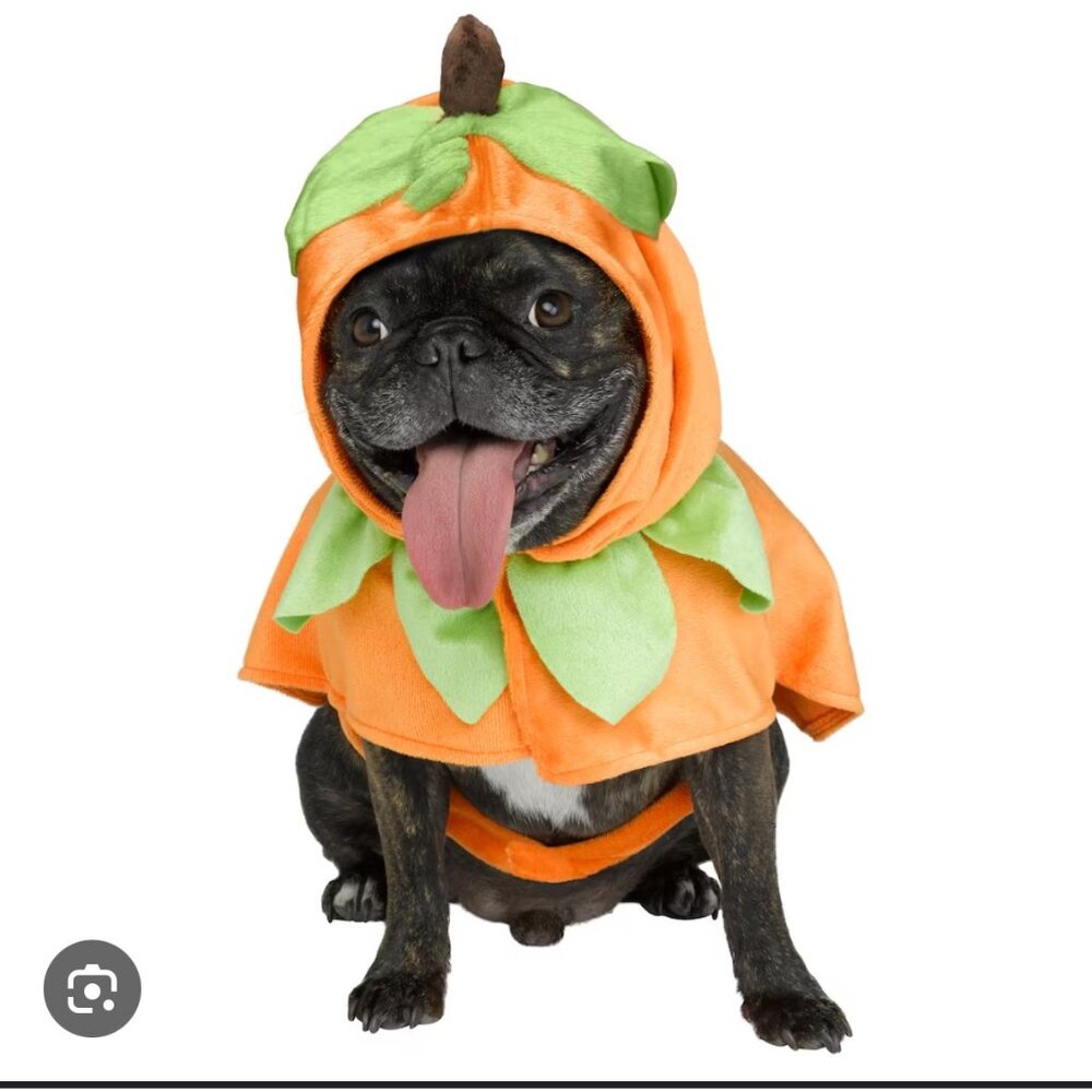 Dog Pumpkin Costume S/P Size Orange Green Soft Fabric Seasonal Outfit For Pets I